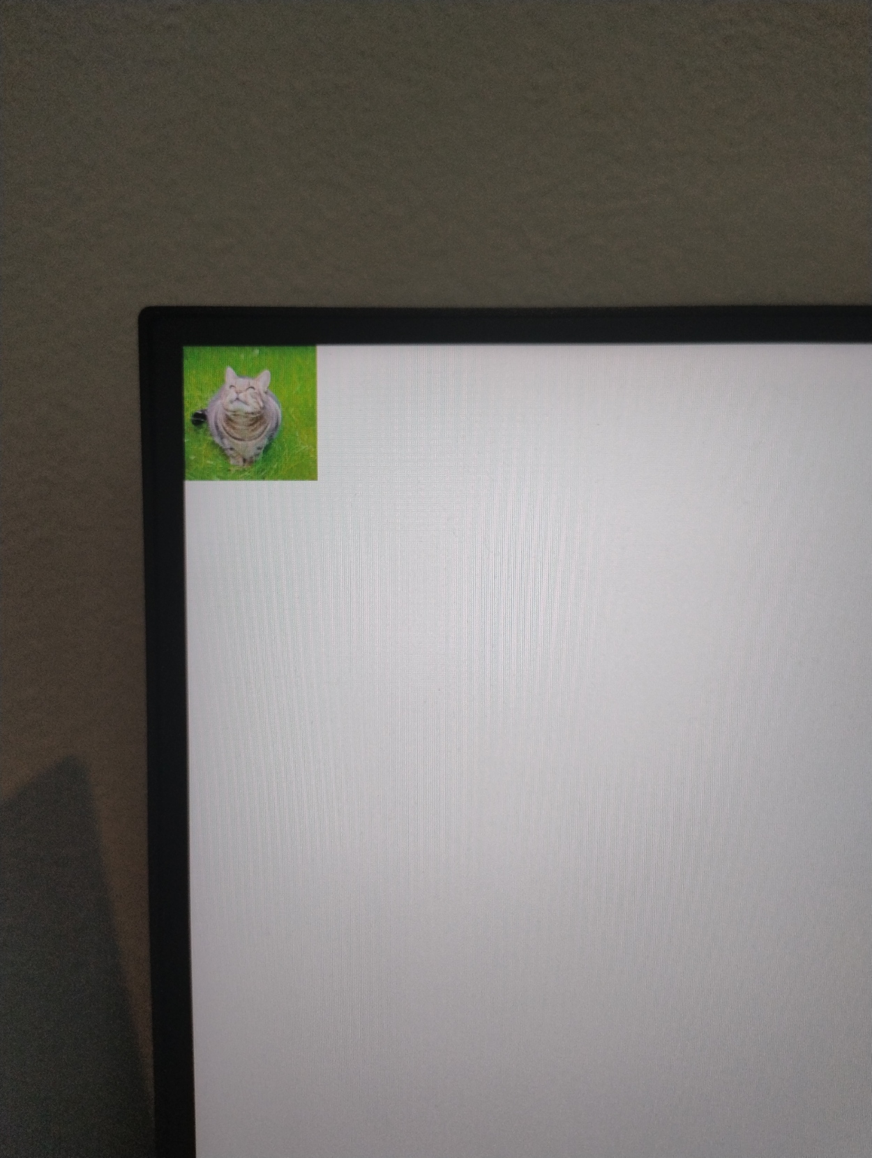 my desktop monitor, the screen is fully white, except for a picture of a cat (wlroots logo) in the top right corner my desktop monitor, the screen is fully white, except for a picture of a cat (wlroots logo) in the top right corner